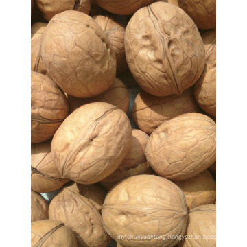 Hot Sale high quality purity natural raw walnut shell supplier